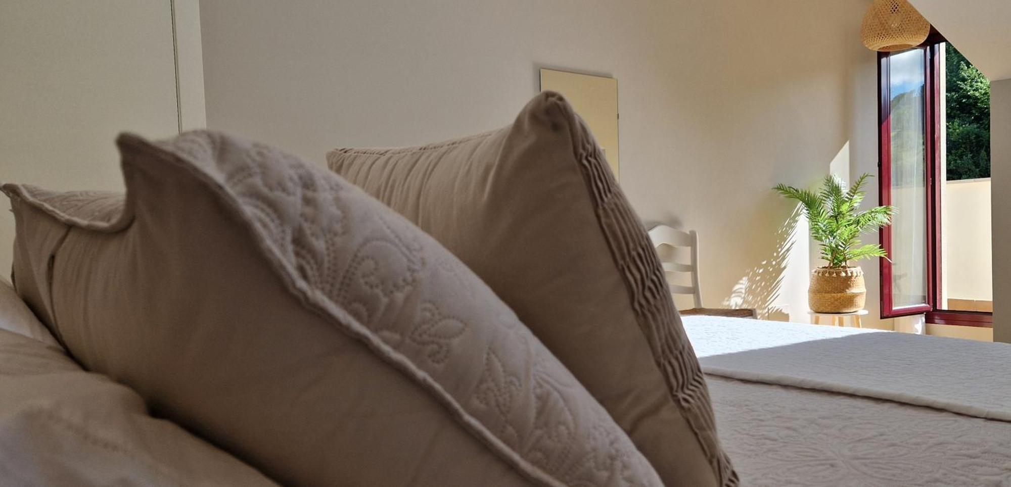 Deva Silva By Casas De Picos Apartament